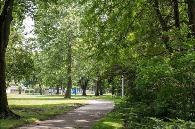 Lafayette Plaisance Park with shaded lawns and walking paths for locals